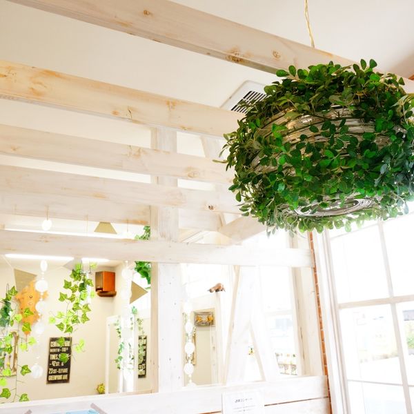 つくば市竹園でカラーなら美容室・ALOHAへお越しください